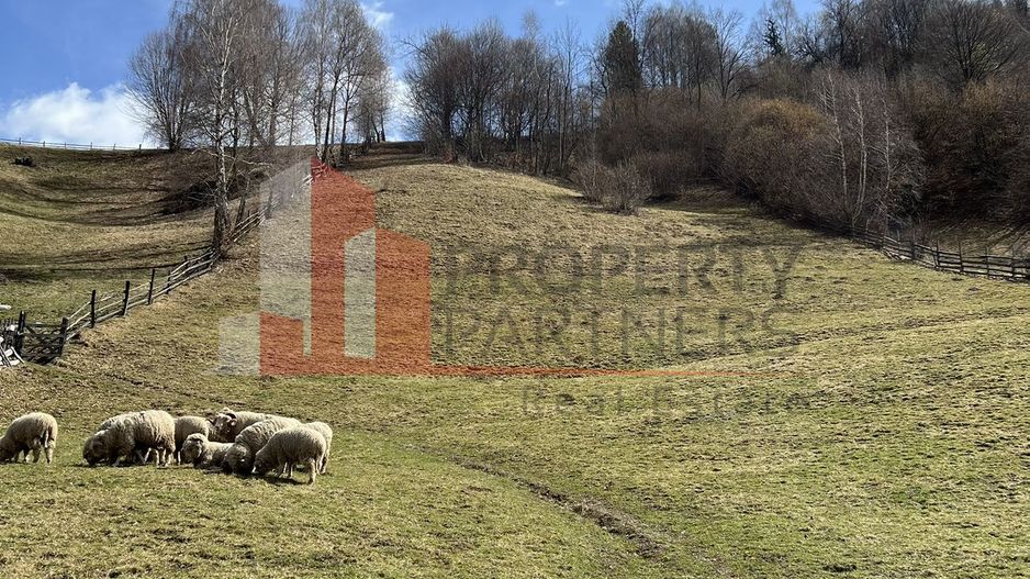 Teren Intravilan 9.194 mp, zona Bran - Simon - Poză 7