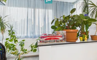 Apartament 2 camere, decomandat în Gradiște, Arad - Poză 12
