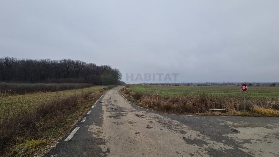 Teren | Poiana Ciolpani | Iris Orangerie - Poză 9