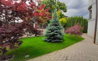 Spatiu de birouri deosebit - 160 mp - Poză 13