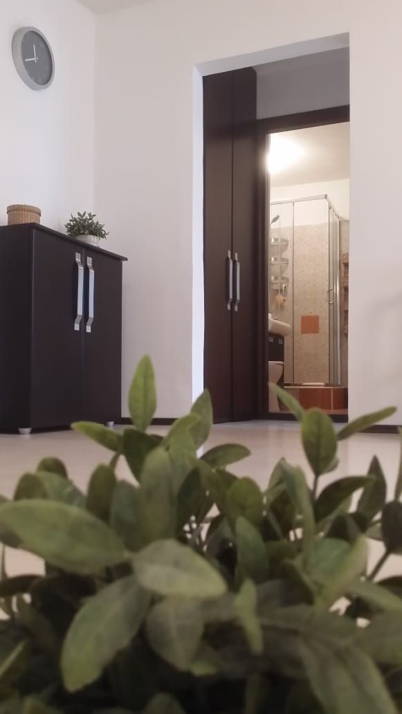 Apartament Aviatiei | Maguricea | Metrou Aurel Vlaicu | Mall Promenada - Poză 18