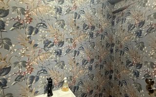 INCHIRIERE VILA DEOSEBITA | CAPITALE | NOU RENOVATA | IDEAL AMBASADA - Poză 15