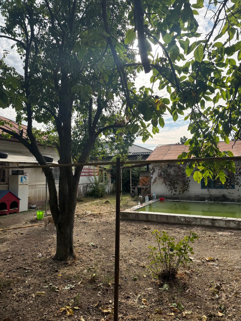 Casa + teren 1.065 mp | Domnesti – Zona Toamnei | Deschidere 20 ml - Poză 17