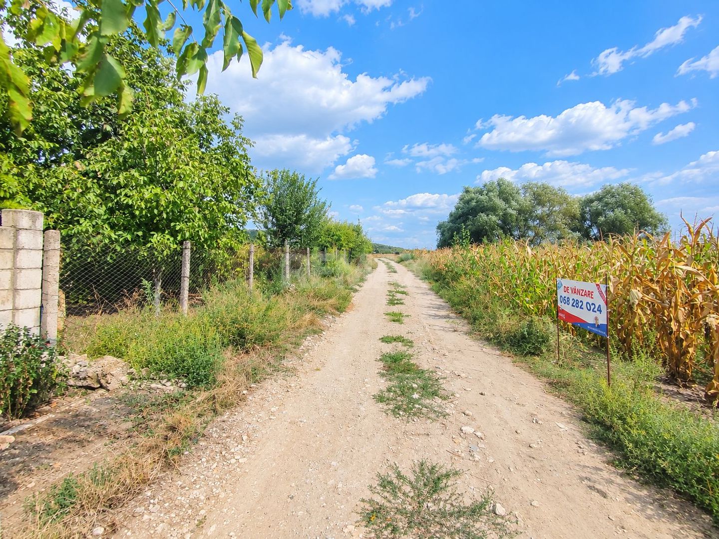 TEREN PENTRU GRĂDINI – 12 ARI | FLORENI, ANENII NOI - Poză 5