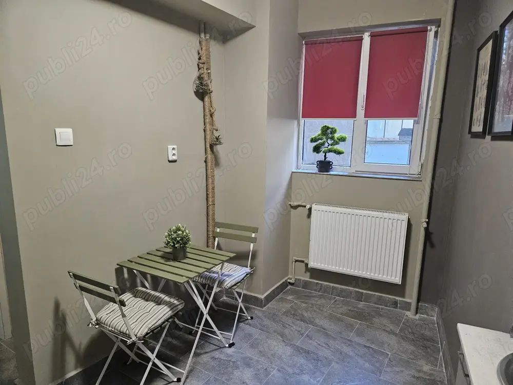 Ofer spre închiriere apartament 2 cam Cișmigiu,  str Sipotul Fantanilor - Poză 8