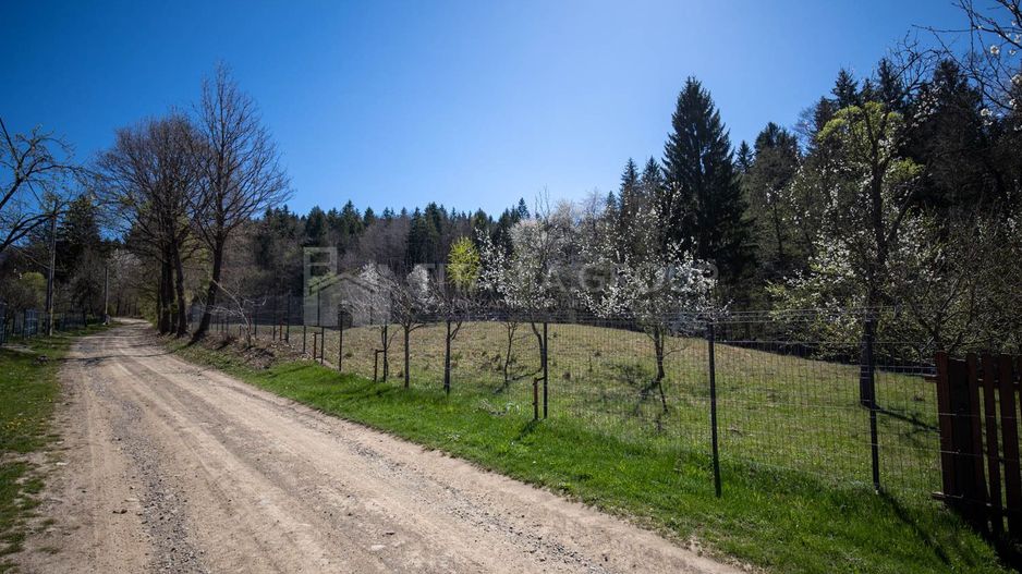 Teren intravilan, pretabil pentru casa de vacanta, 2000 mp - Poză 11