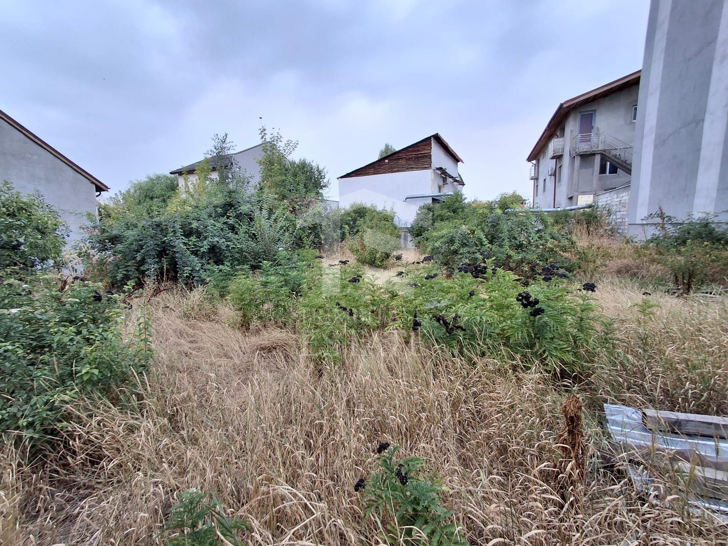 Teren de vanzare - zona Maior Colentina - Poză 12