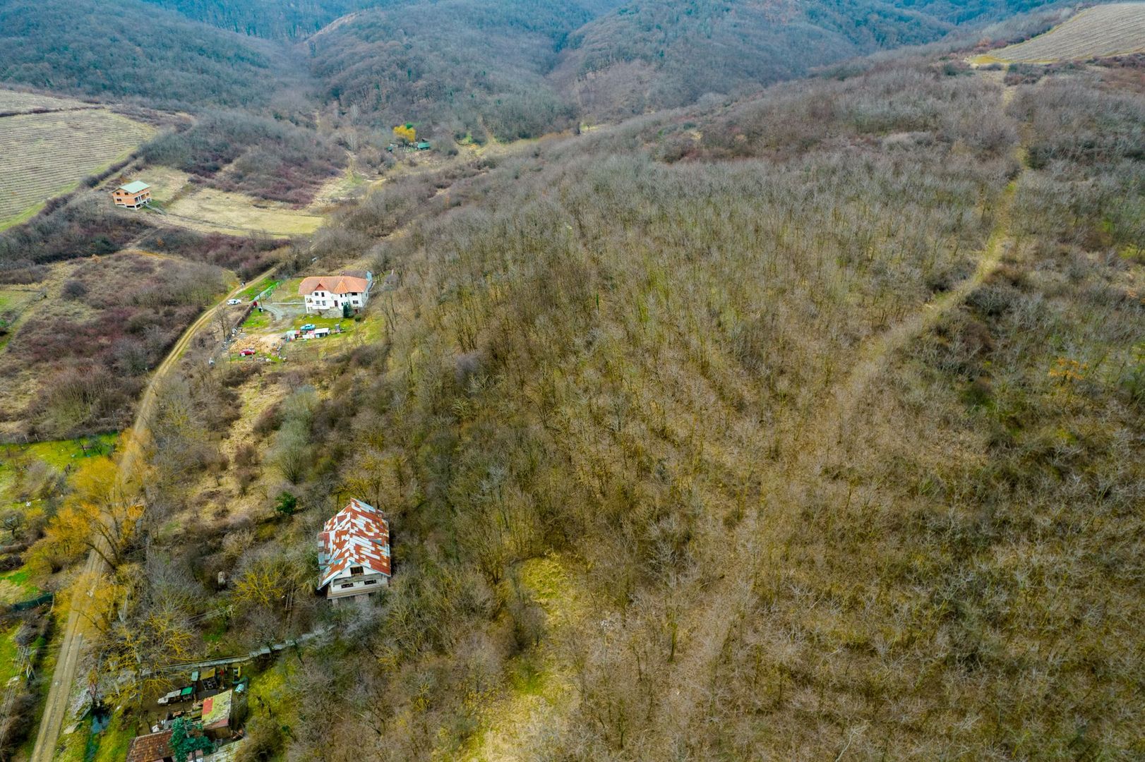 Teren intravilan în Miniș - Poză 8