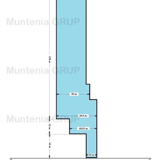 CIOLPANI - Sos. Silistea-Ciolpani, 8.700 mp. teren ideal constructie - Poză 2