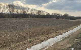 Teren extravilan | Rădăuți | 36 ARI - Poză 7