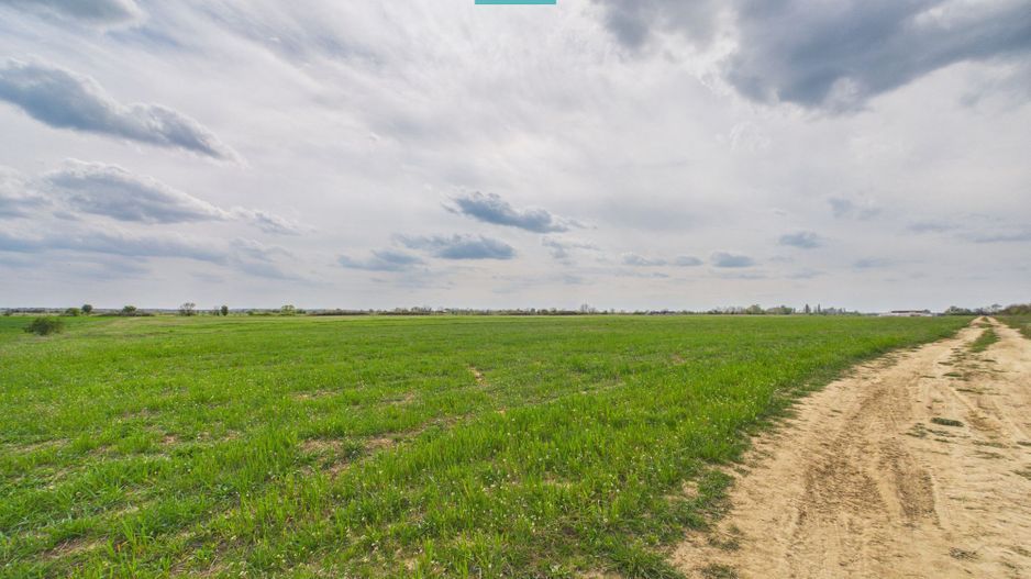 Teren extravilan 6150 mp - Giroc - Poză 3