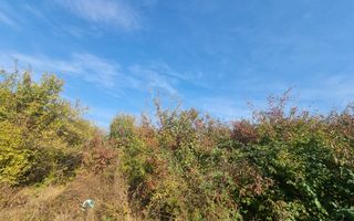 Teren de vanzare in zona Mogosoaia (Iesire la Lac) - Poză 5