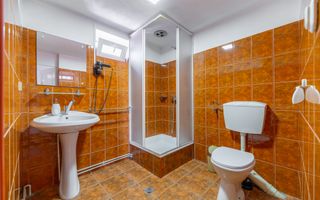 Casa + Pensiune deosebita - Orlat, Sibiu - Poză 35