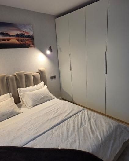 Apartament 2 Camere Lux Herastrau - Poză 8