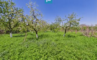 Vilă cochetă 4 camere P+M în Munar - Poză 24