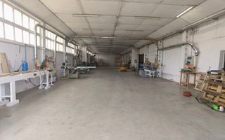 Proprietate industriala la 30 km exterior sud Timisoara - Poză 23