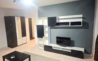 Garsonieră Studio de închiriat Timpuri Noi Pet friendly - Poză 2