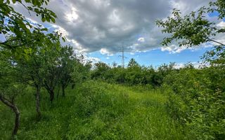 Teren de vanzare | 3.600mp | Valeni de Munte, Prahova | Comision 0% - Poză 4