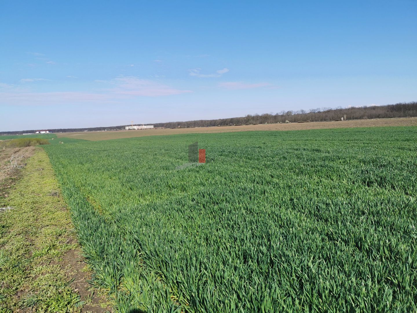 Teren in apropiere de Autostrada Bucuresti Ploiesti - Poză 1