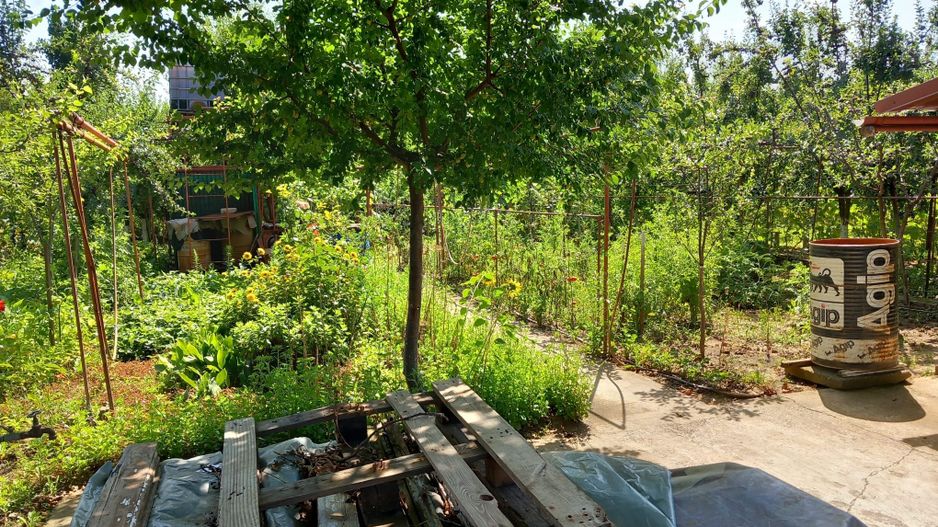 Ag EUROPA vinde teren BERCU ROSU toate utilitatile și casa vacanta. - Poză 3