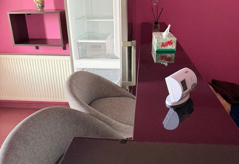 Apartament 2 camere Dobroiesti, str Doinei 73B - Poză 10