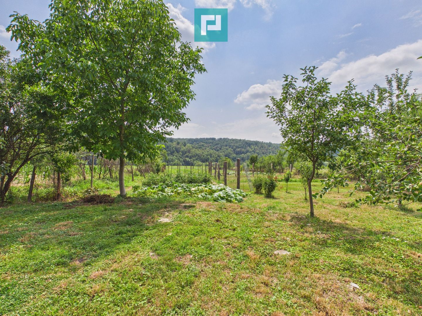 2 case cu teren de 2253 mp în Archiș - Poză 13