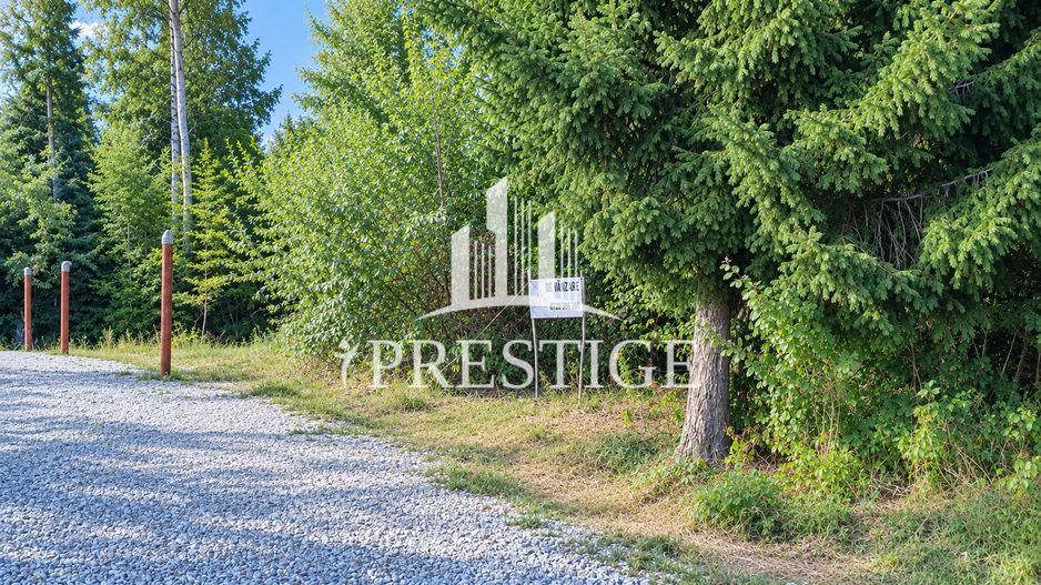 TEREN INTRAVILAN 744 MP | VALEA AVRIGULUI | IDEAL PENTRU CABANĂ - Poză 1