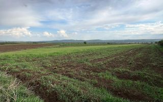 🌟 Teren de Vânzare 20 Ari | Salcea, Suceava | 💥 Preț: €30.000 - Poză 2