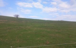 Teren extravilan | Zona Aeroport | 5600MP - Poză 2