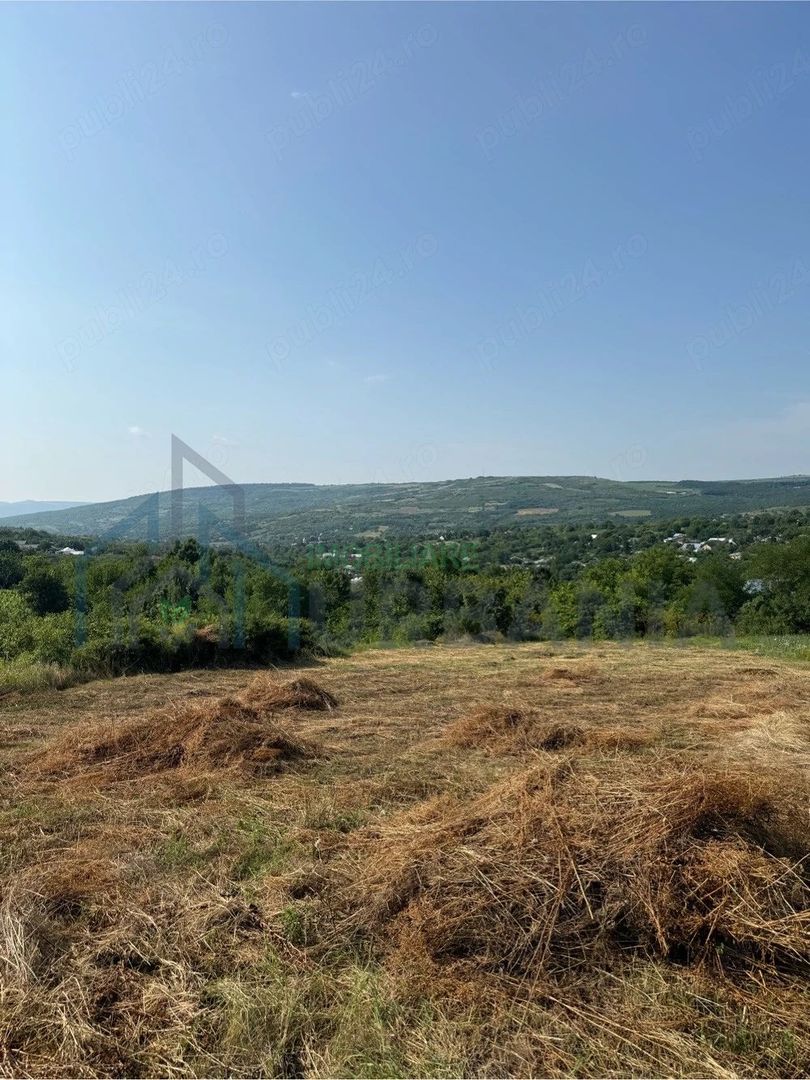 Teren intravilan de vanzare in Comarna, 4200 mp, asfalt si curent la limita, 20 km de Iasi - Poză 2