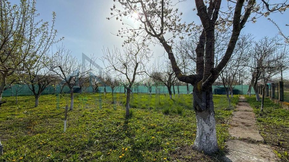 Casă cu anexă, foișor și beci pe teren de 600 mp – Țuțora, aproape de centru - Poză 3