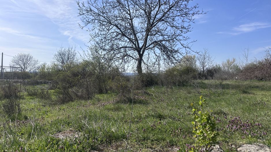Teren de vânzare – Aninoasa, zonă Solarino (peste calea ferată) - Poză 4