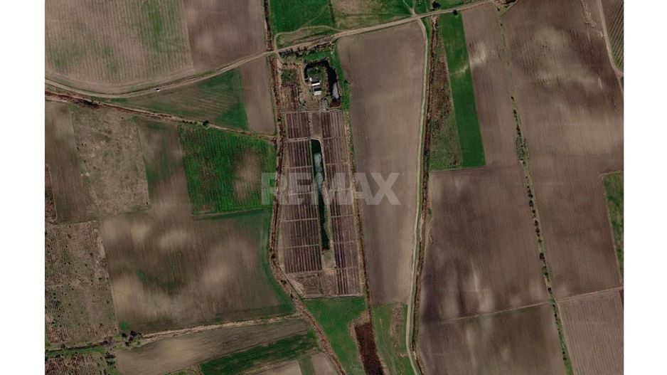 Teren agricol de vânzare – 6,8 hectare cu lac propriu și casă, Nisporeni - Poză 9