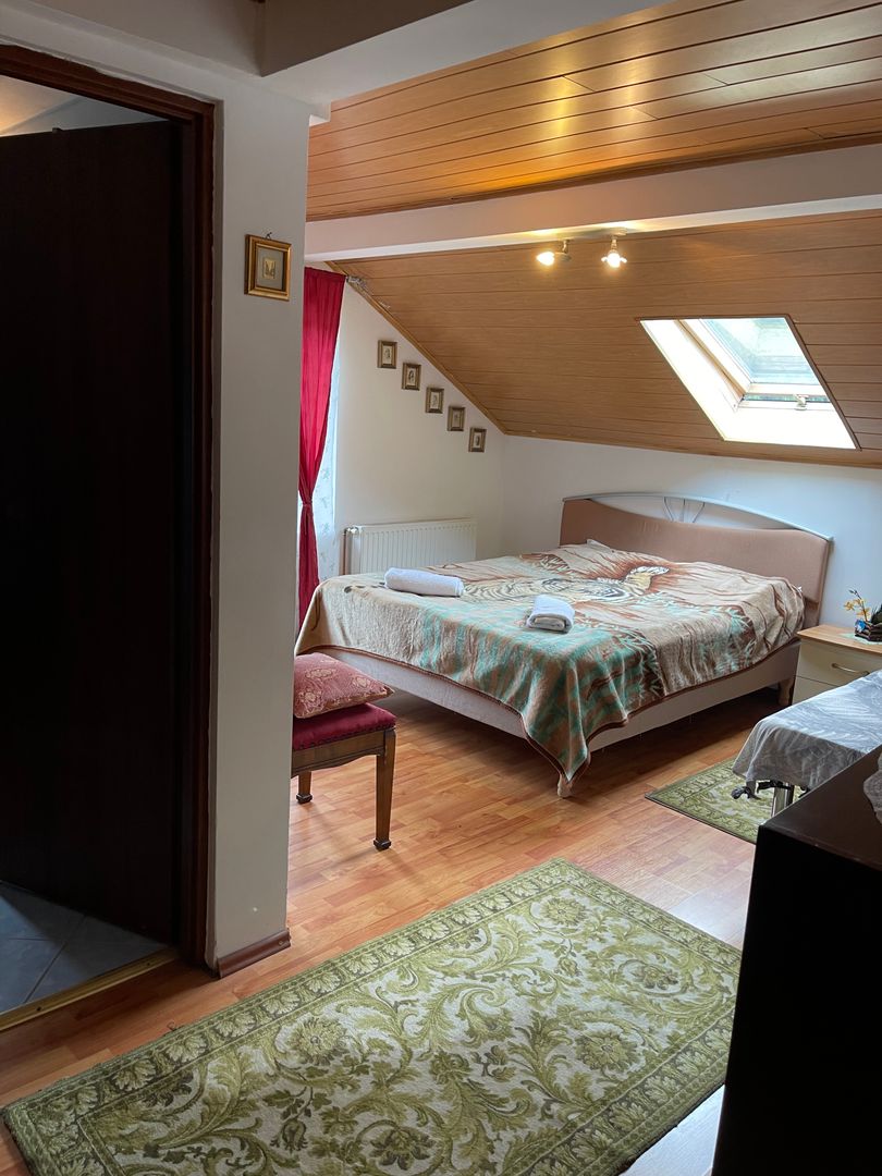 Proprietate in incantarea naturii, oportunitate investitie/rezidential, Predeal - Poză 39