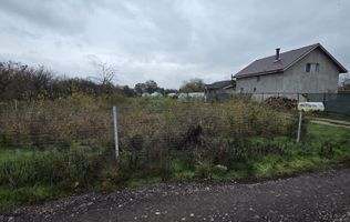 Teren Aleea Viilor Adunatii Copaceni 25 euro mp