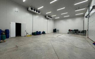 Spatiu industrial frigorific cu atmosfera controlata - Poză 3