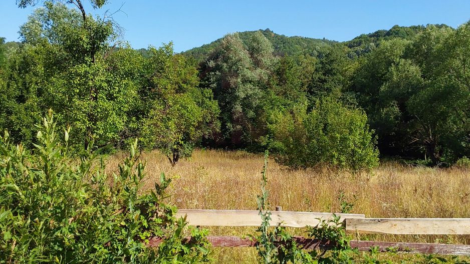 TEREN INTRAVILAN ZĂVOI\ZONA VALEA BISTREI, JUD.C-S - Poză 5