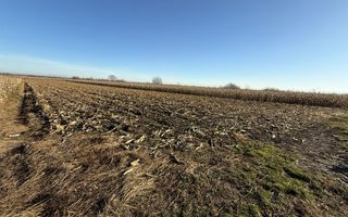 TEREN EXTRAVILAN  51 ARI |  HORODNIC DE JOS  | - Poză 10