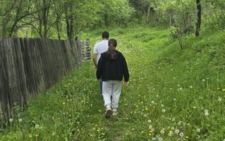 Teren de VANZARE|JIBLEA VECHE|11.000 EURO - Poză 6
