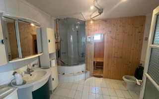 VILA 5 CAMERE, TEREN 4520 MP, LERESTI, ARGES - Poză 11