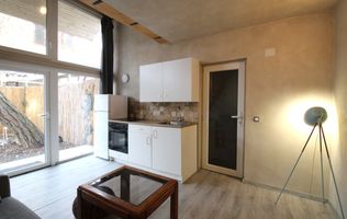 Bv. Victor Babes.Tiny House for rent, pet-frinedly.