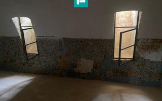 Conac nobiliar de secol XIX cu 8 camere în Maciova - Poză 22