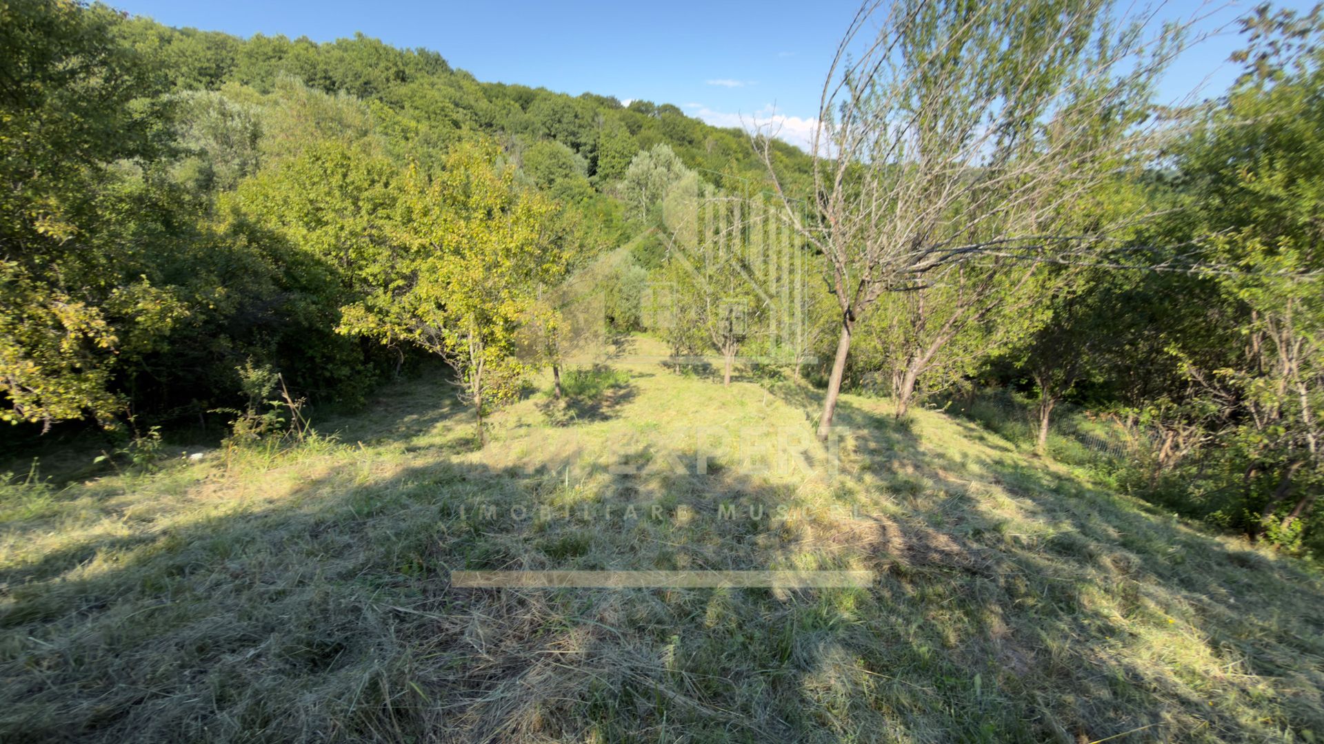 TEREN 3200 MP GODENI ARGEȘ - Poză 26