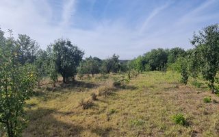 Teren 2000 mp de vânzare – Comana, deschidere la lac, aproape de Parcu - Poză 6