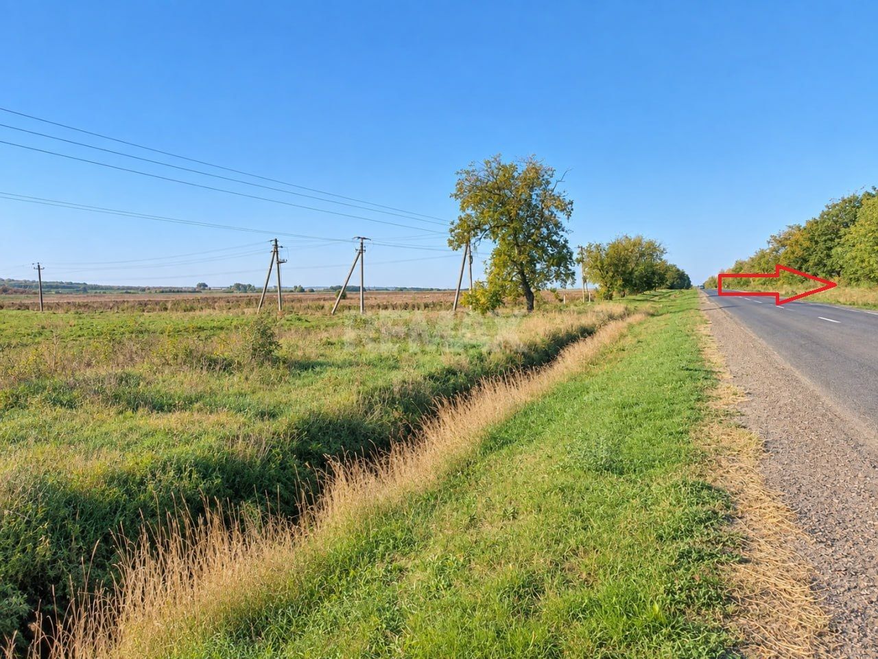 4,85 HA CU DESCHIDERE DE 300 M LA TRASEU | CRIULENI – SLOBOZIA-DUȘCA - Poză 9