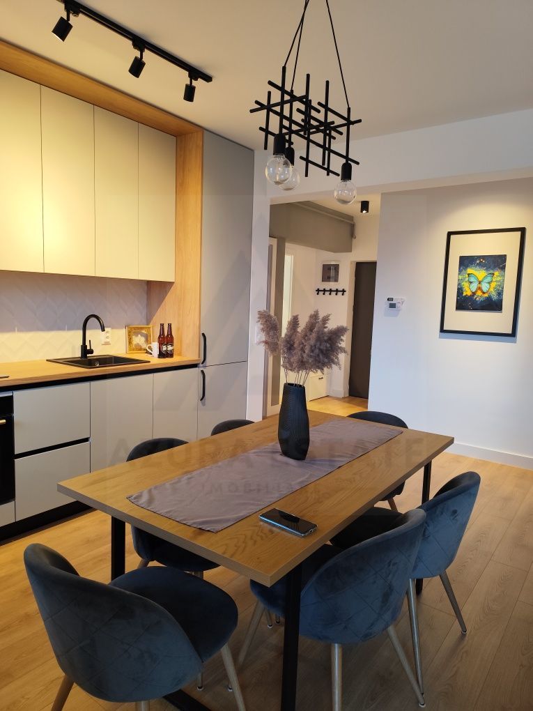 Apartament premium prima inchiriere balcon 12 mp utili Doamna Stanca - Poză 2