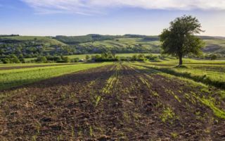 Teren extravilan, 1.002 mp, front de 25 ml, Ampoita - Poză 1