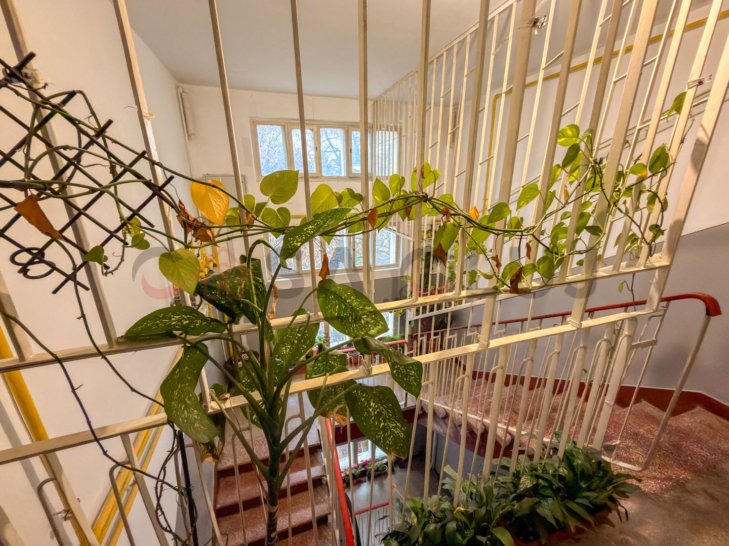 Apartament 3 camere renovat, zona BT Brancusi ! - Poză 13