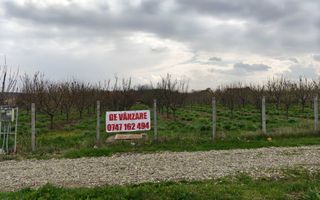 Teren de vanzare sat Madarjesti (langa Sarca) - Poză 1