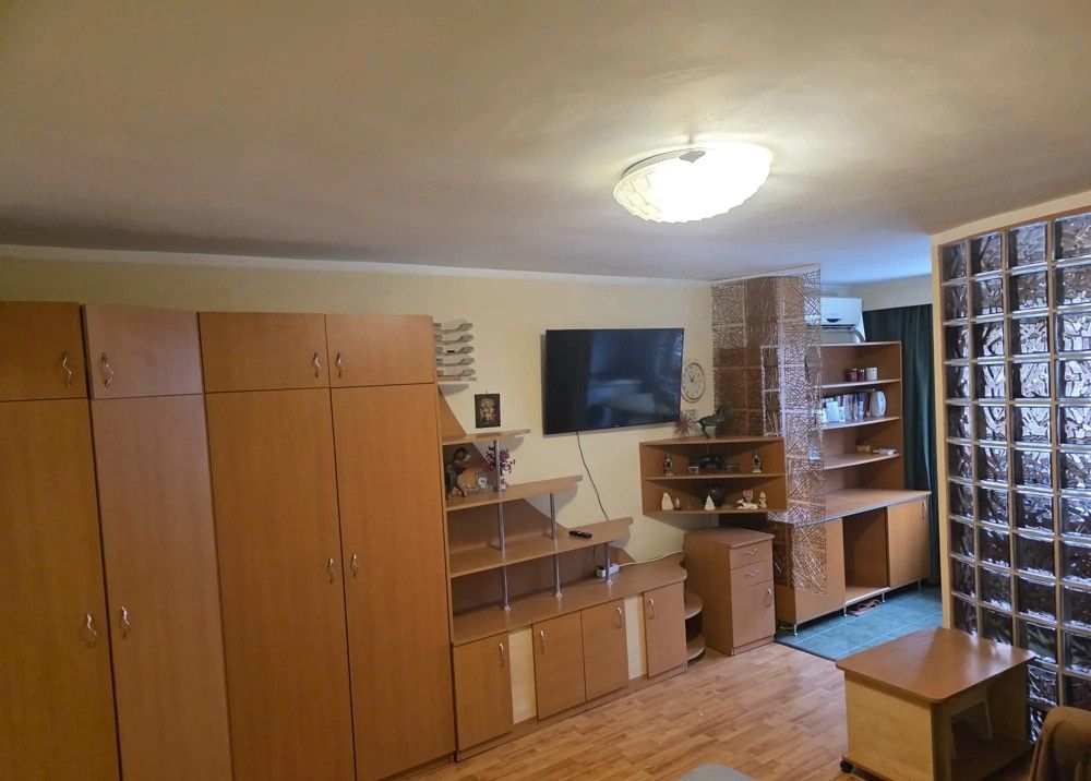 GARSONIERA TUDOR VLADIMIRESCU, PET-FRIENDLY, BUCATARIE DESCHISA - Poză 2